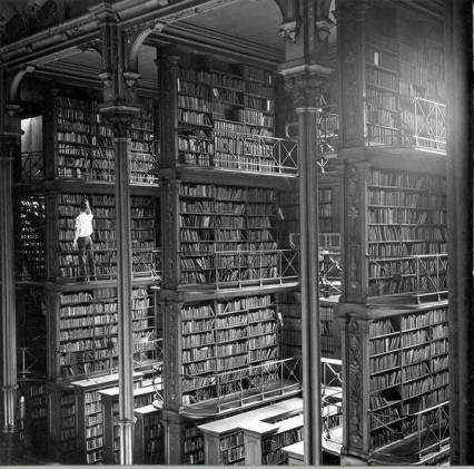 Foto Tyler Berll. Browsing Cincinnati Library